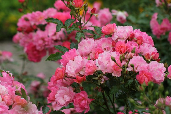 Découvrez le kotatsu : l'élément parfait pour l'hiver japonais